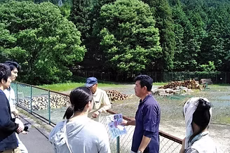 木の駅2.jpg