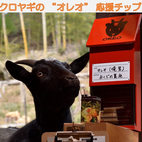 おくどの愛ヤギ （オレオ）を応援する